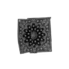Paisley Bandana